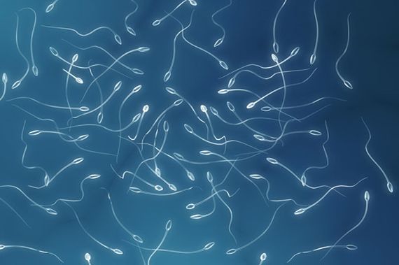 Malo je poznato o spermijima u liječenju neplodnosti